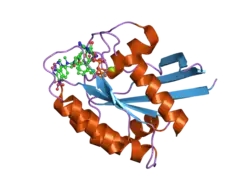 2cl6: CRYSTAL STRUCTURE ANALYSIS OF A FLUORESCENT FORM OF H-RAS P21 IN COMPLEX WITH S-CAGED GTP