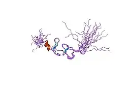 2cuq: Solution Structure of Second Lim Domain from Human Skeletal Muscle Lim-Protein 2