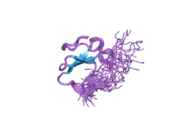 2djy: Solution structure of Smurf2 WW3 domain-Smad7 PY peptide complex