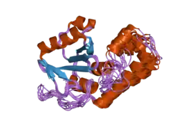 2dos: Structural basis for the recognition of Lys48-linked polyubiquitin chain by the Josephin domain of ataxin-3, a putative deubiquitinating enzyme