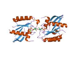 2dpx: Crystal Structure of human Rad GTPase