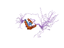 2dun: Solution structure of BRCT domain of DNA polymerase mu
