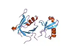 2dx5: The complex structure between the mouse EAP45-GLUE domain and ubiquitin