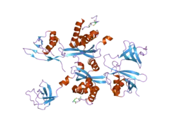 2dyb: The crystal structure of human p40(phox)