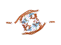 2e50: Crystal structure of SET/TAF-1beta/INHAT