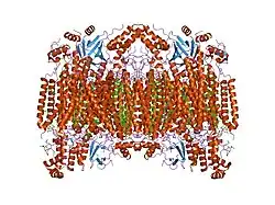 2eil: Cadmium ion binding structure of bovine heart cytochrome C oxidase in the fully oxidized state