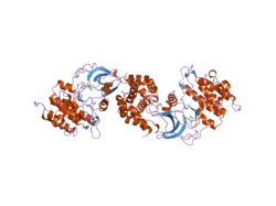 2esm: Crystal Structure of ROCK 1 bound to fasudil