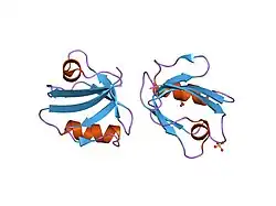 2f5y: Crystal Structure of the PDZ Domain from Human RGS-3