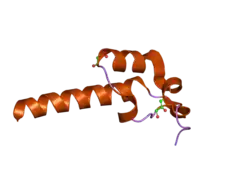 2f60: Crystal Structure of the Dihydrolipoamide Dehydrogenase (E3)-Binding Domain of Human E3-Binding Protein