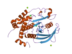 2f6f: The structure of the S295F mutant of human PTP1B