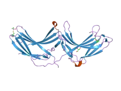 2fau: Crystal structure of human vps26