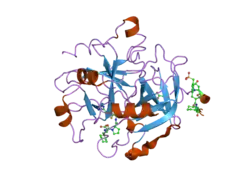 2feq: orally active thrombin inhibitors