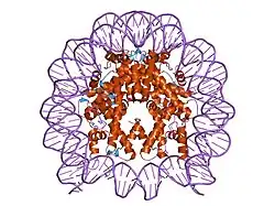 2fj7: Crystal structure of Nucleosome Core Particle Containing a Poly (dA.dT) Sequence Element