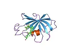 2fke: FK-506-BINDING PROTEIN: THREE-DIMENSIONAL STRUCTURE OF THE COMPLEX WITH THE ANTAGONIST L-685,818