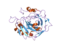 2fnm: Activation of human carbonic anhdyrase II by exogenous proton donors