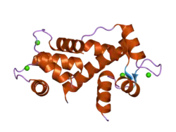 2fot: Crystal structure of the complex between calmodulin and alphaII-spectrin