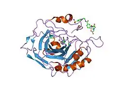 2fou: Human Carbonic Anhydrase II complexed with two-prong inhibitors