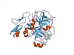 2g00: Factor Xa in complex with the inhibitor 3-(6-(2'-((dimethylamino)methyl)-4-biphenylyl)-7-oxo-3-(trifluoromethyl)-4,5,6,7-tetrahydro-1H-pyrazolo[3,4-c]pyridin-1-yl)benzamide