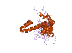 2g31: Human Nogo-A functional domain: nogo60