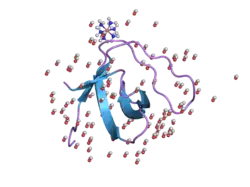 2g6f: Crystal Structure of the SH3 Domain of betaPIX in Complex with a High Affinity Peptide from PAK2
