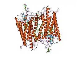 2g87: Crystallographic model of bathorhodopsin