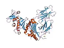 2g9h: Crystal Structure of Staphylococcal Enterotoxin I (SEI) in Complex with a Human MHC class II Molecule