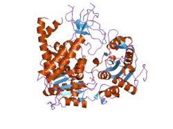 2gk7: Structural and Functional insights into the human Upf1 helicase core