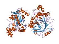 2gp5: Crystal structure of catalytic core domain of jmjd2A complexed with alpha-Ketoglutarate