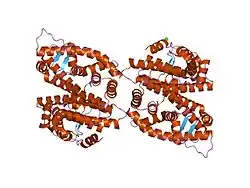 2gp7: Estrogen Related Receptor-gamma ligand binding domain