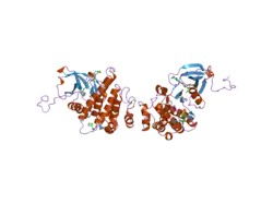 2gqg: X-ray Crystal Structure of Dasatinib (BMS-354825) Bound to Activated ABL Kinase Domain
