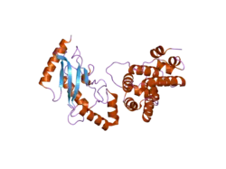 2grp: Crystal Structure of human RanGAP1-Ubc9-Y87A