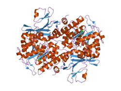 2gvl: Crystal Structure of Murine NMPRTase