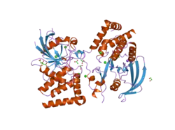 2h4v: Crystal Structure of the Human Tyrosine Receptor Phosphatase Gamma