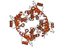 2h61: X-ray structure of human Ca2+-loaded S100B