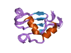 2hgn: NMR structure of the third qRRM domain of human hnRNP F