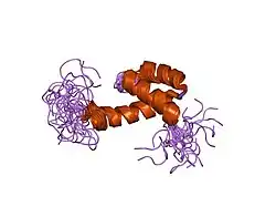 2hi3: Solution structure of the homeodomain-only protein HOP