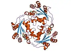 2hvd: Human nucleoside diphosphate kinase A complexed with ADP