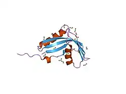 2hw4: Crystal structure of human phosphohistidine phosphatase