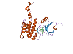 2hw7: Crystal Structure of Mnk2-D228G in complex with Staurosporine