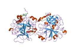 2hwl: Crystal structure of thrombin in complex with fibrinogen gamma' peptide