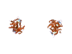 2i0j: Benzopyrans are Selective Estrogen Receptor beta Agonists (SERBAs) with Novel Activity in Models of Benign Prostatic Hyperplasia