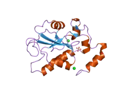 2ifd: Crystal structure of a remote binding site mutant, R492L, of CDC25B Phosphatase catalytic domain