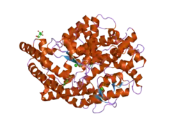 2iux: HUMAN TACE MUTANT G1234