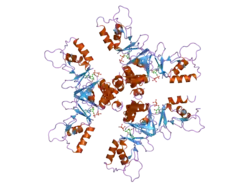 2ja3: CYTOPLASMIC DOMAIN OF THE HUMAN CHLORIDE TRANSPORTER CLC-5 IN COMPLEX WITH ADP