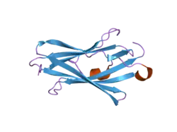 2jhy: CRYSTAL STRUCTURE OF RHOGDI E155H, E157H MUTANT