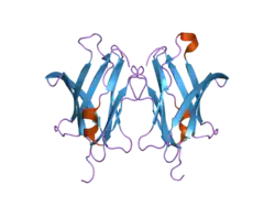 2jhz: CRYSTAL STRUCTURE OF RHOGDI E155S, E157S MUTANT