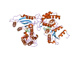 2o3u: Structural Basis for Formation and Hydrolysis of Calcium Messenger Cyclic ADP-ribose by Human CD38