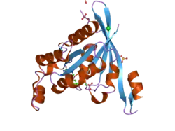 2odb: The crystal structure of human cdc42 in complex with the CRIB domain of human p21-activated kinase 6 (PAK6)
