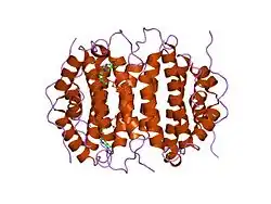 2oig: Crystal structure of RS21-C6 core segment and dm5CTP complex