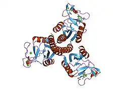 2ork: crystal structure of the trimeric neck and carbohydrate recognition domain of human surfactant protein D in complex with inositol-1-phosphate